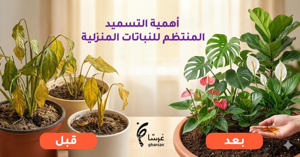 تسميد النباتات