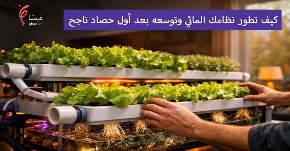 كيف تطوّر نظامك المائي وتوسّعه بعد أول حصاد ناجح؟