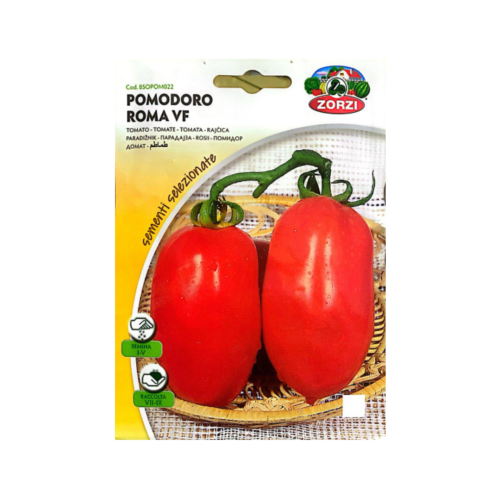 طماطم Tomato