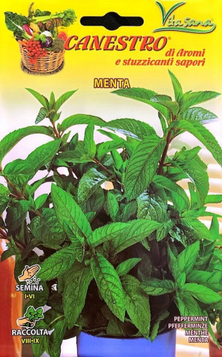 بذور نعناع