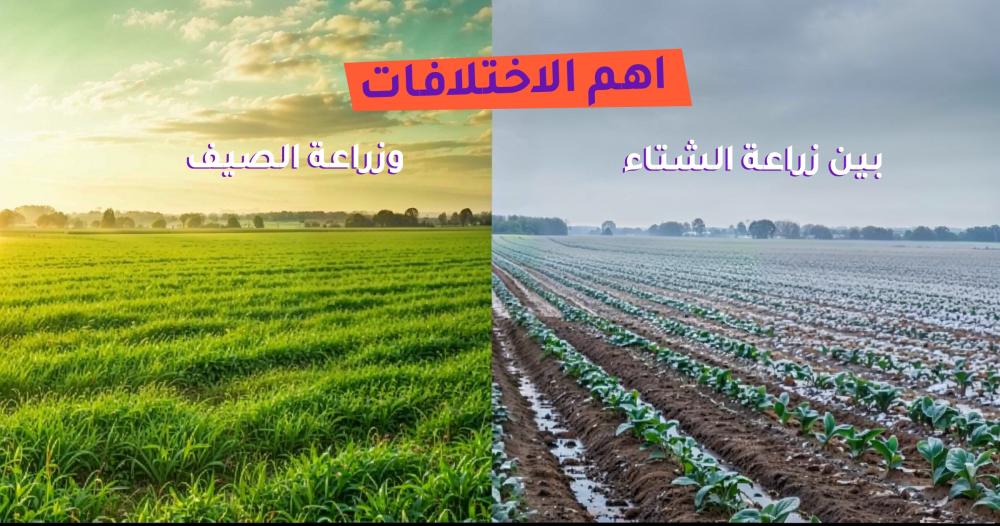 الزراعة الموسمية