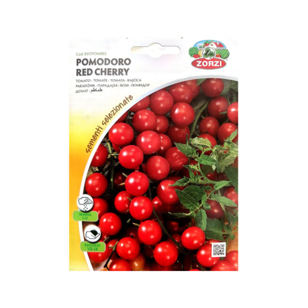 طماطم كرزية  Cherry Tomato