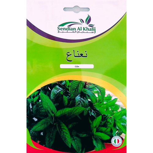 بذور النعناع من سنديان الخليج