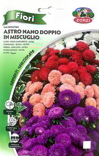 نجمية Aster