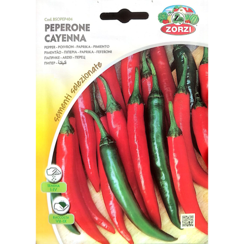 فلفل Pepper