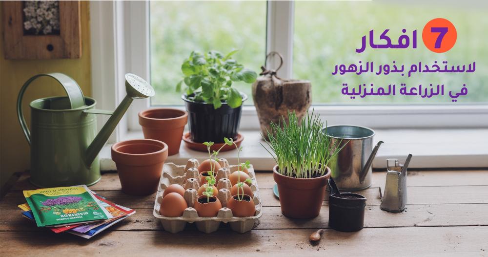 الزراعة المنزلية