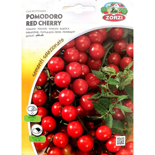 طماطم كرزية Cherry Tomato