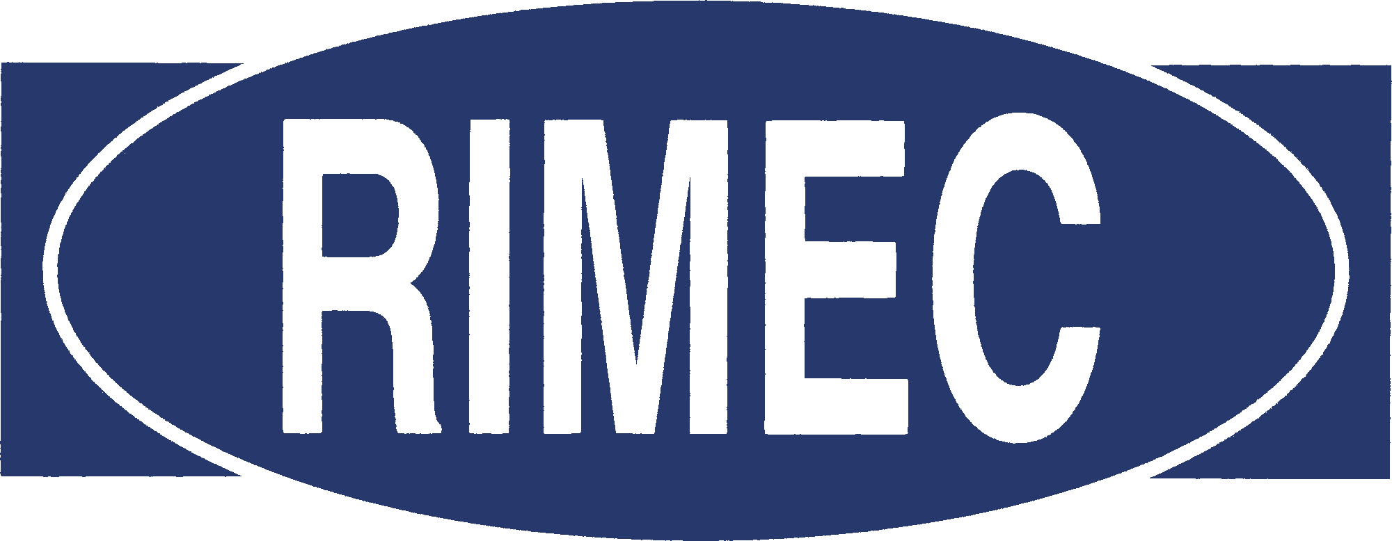 remic srl