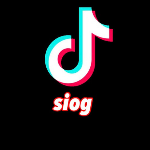 يوزر تيك توك رباعي siog