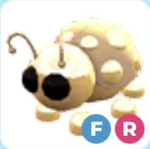 FR Golden ladybug