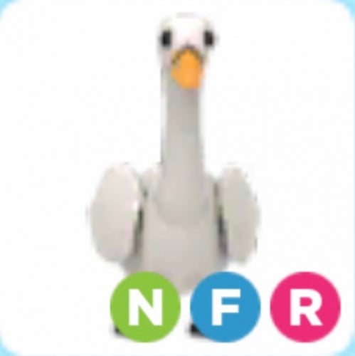 NFR Swan