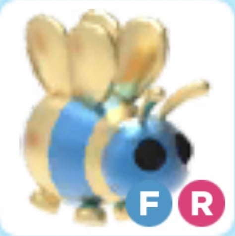 FR Queen bee