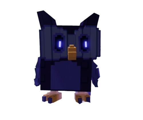 Night owl