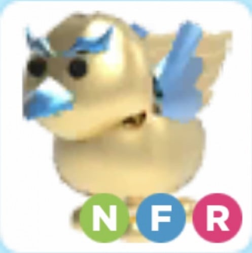 NFR Golden griffin