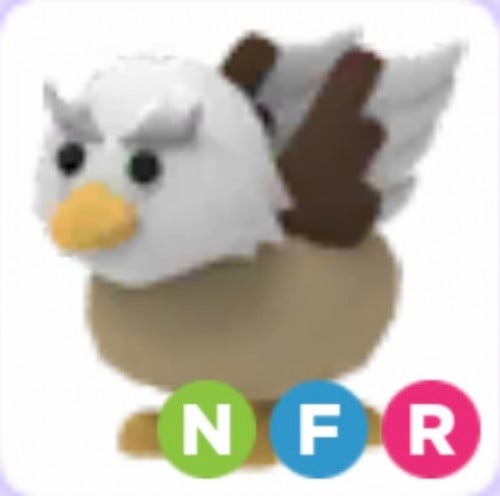 NFR Griffin
