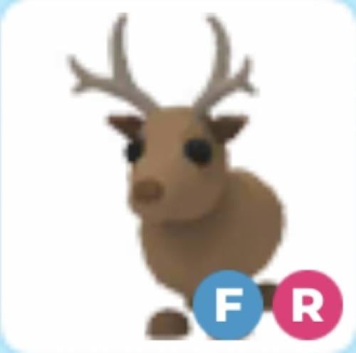 FR Reindeer