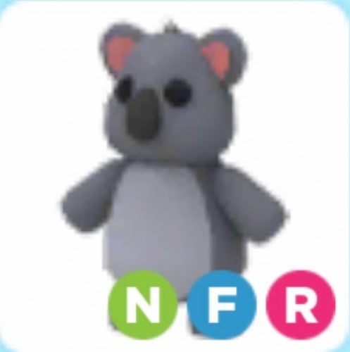 NFR KOALA