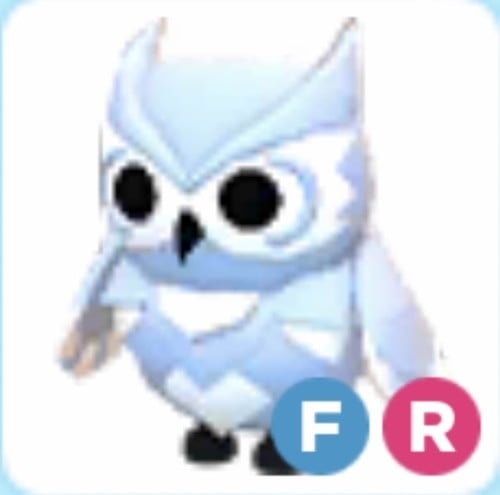 FR Snow owl