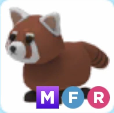 MFR Red Panda