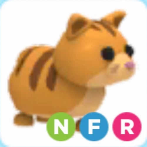 NFR Ginger Cat