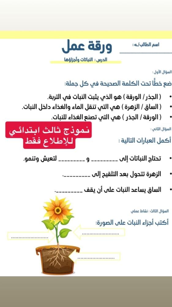 أوراق عمل ثالث ابتدائي علوم