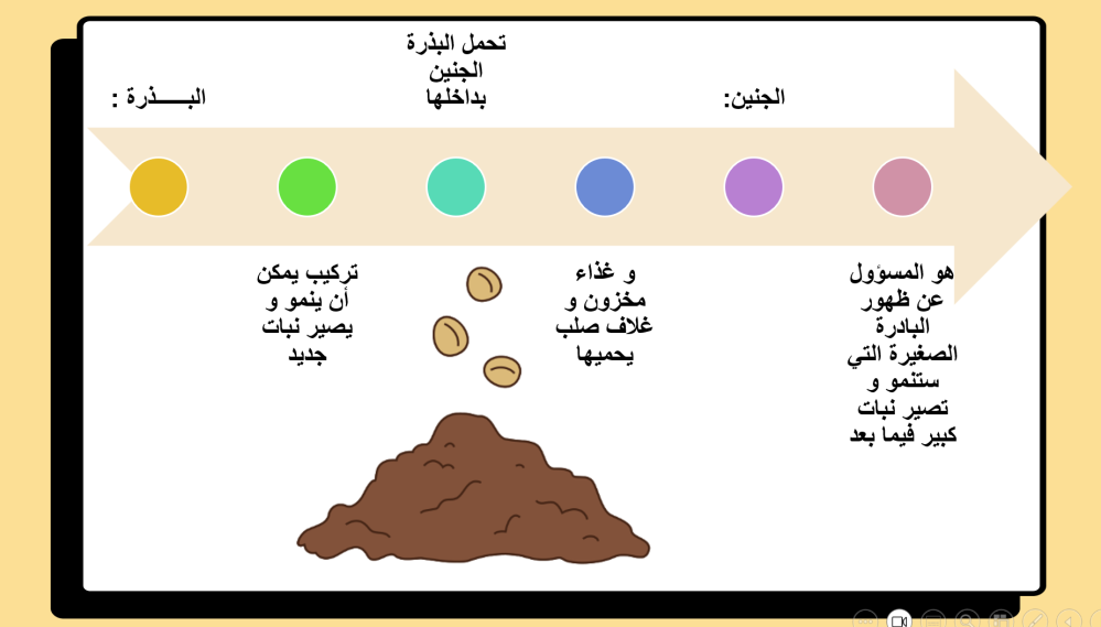 علوم ثالث ابتدائي الفصل الدراسي الاول