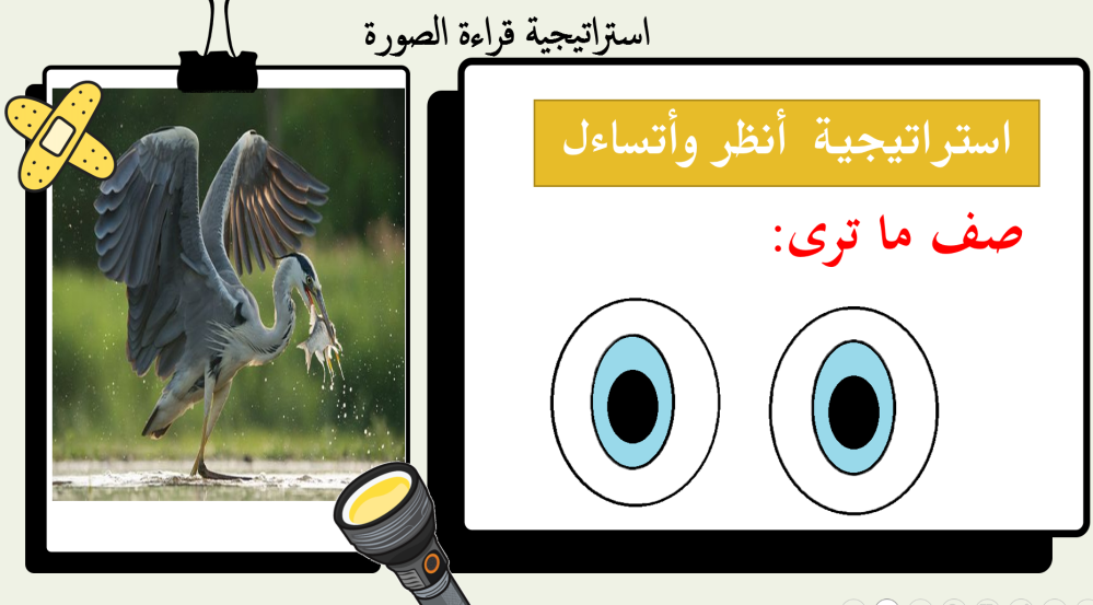 علوم اول ابتدائي الفصل الدراسي الاول