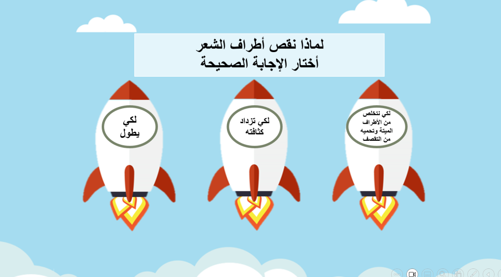 ثاني ابتدائي المهارات الحياتية والتربية الأسرية الفصل الدراسي الاول