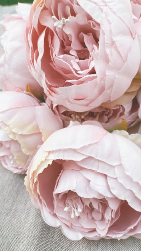 مجموعة ورد بيوني " وردي "