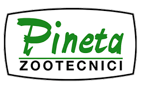 بينيتا -  pineta