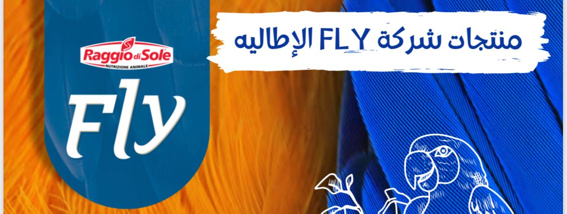 فلاي FLY