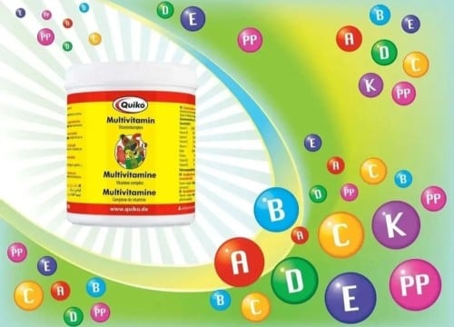 Multivitamin فيتامين شامل كويكو 150g