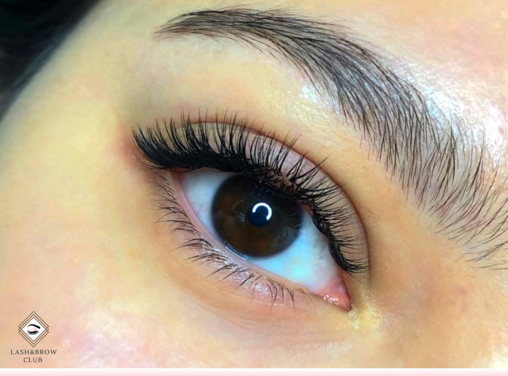 كل ما تحتاجينه عن الرموش الدائمة [ دليلك الشامل ]