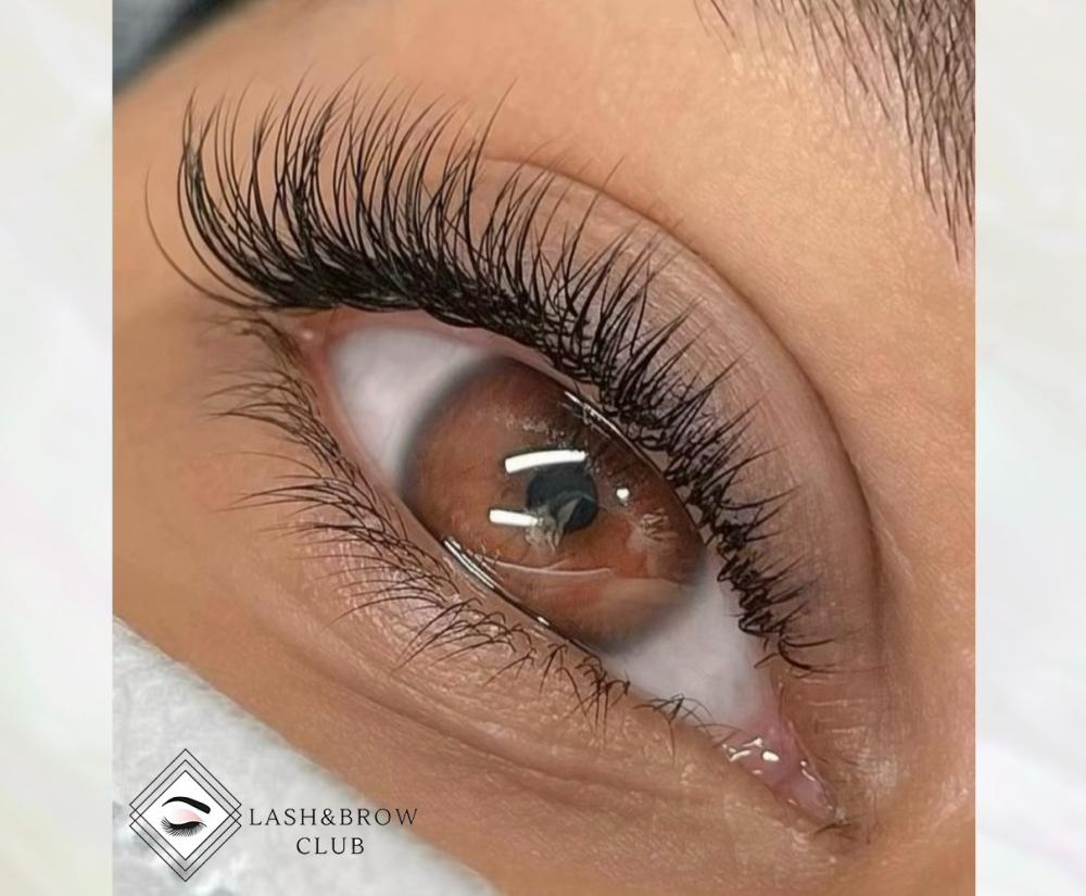 رموش Velvet: الاختيار الأمثل لإطلالة طبيعية وجذابة للعيون