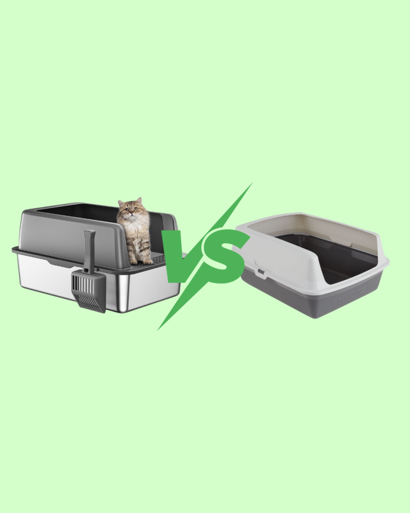 مقارنة بين لتر بوكس البلاستيك والستانلس ستيل: أيهما الأفضل لقطتك؟