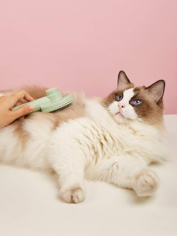 The importance of combing cats' hair