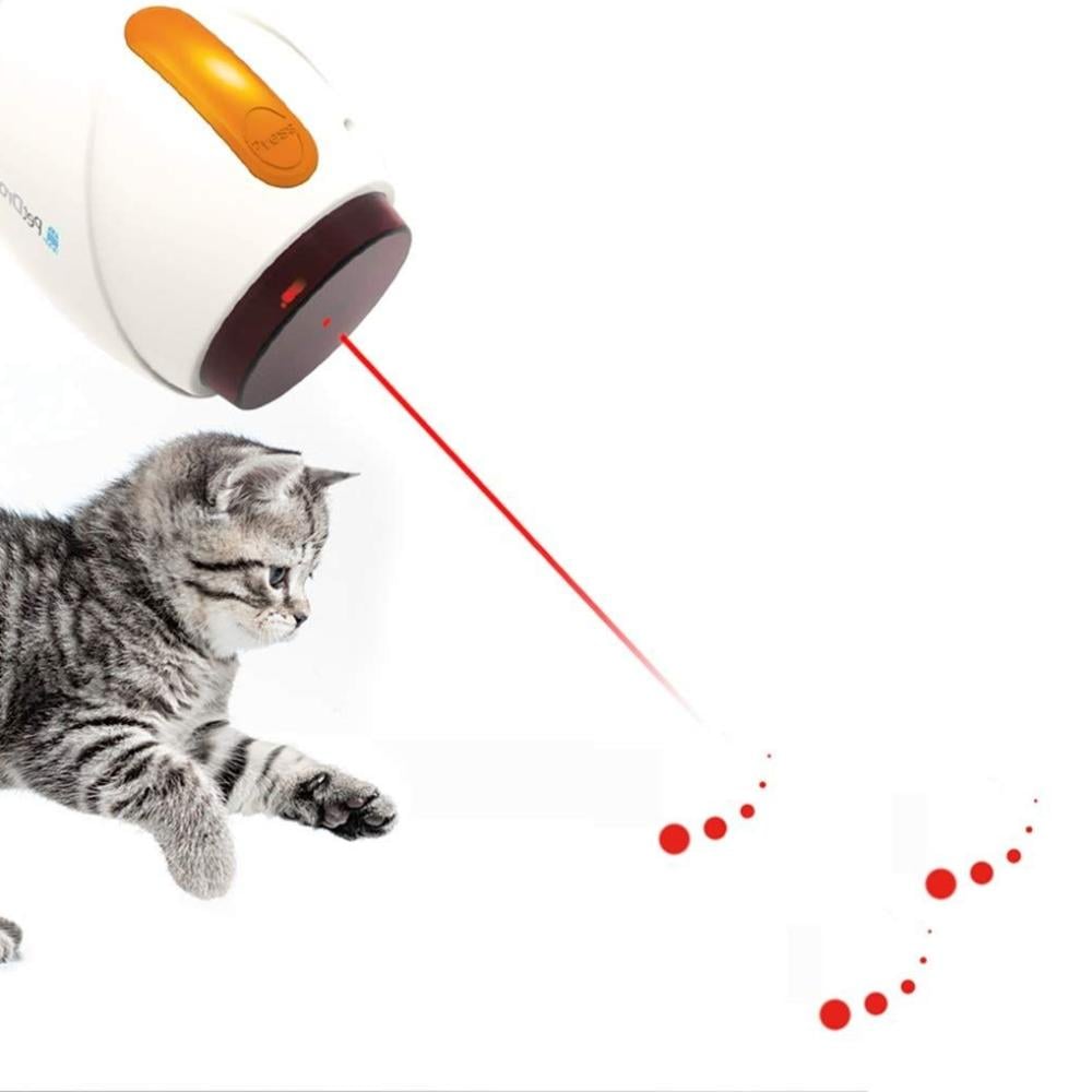 لعبة الليزر هل هي ممتعة او تسبب توتر للقطط؟