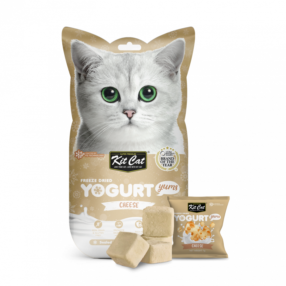 Cat 2025 yogurt treat