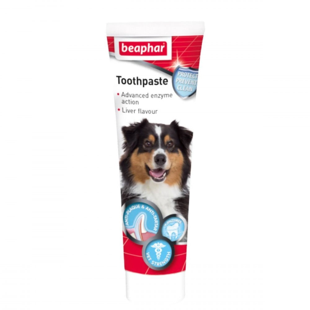 beaphar cat toothpaste