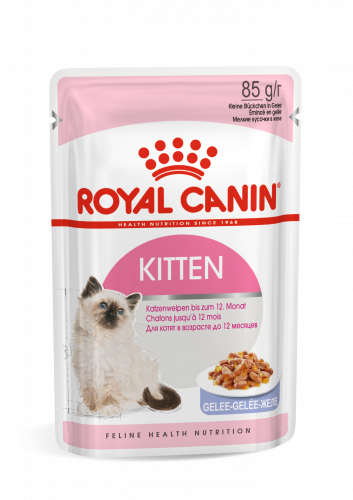 Royal canin رويال اكل رطب للقطط الصغيرة 85 جرام