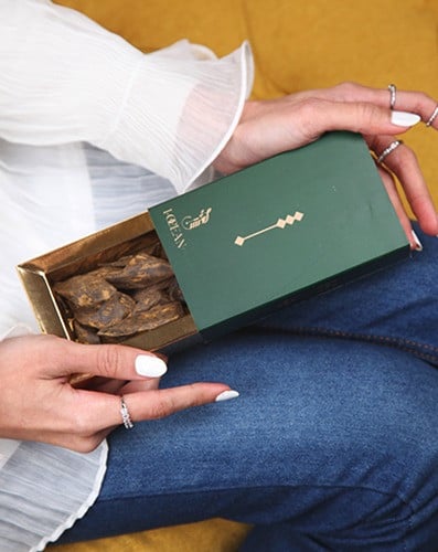 عود الغابات