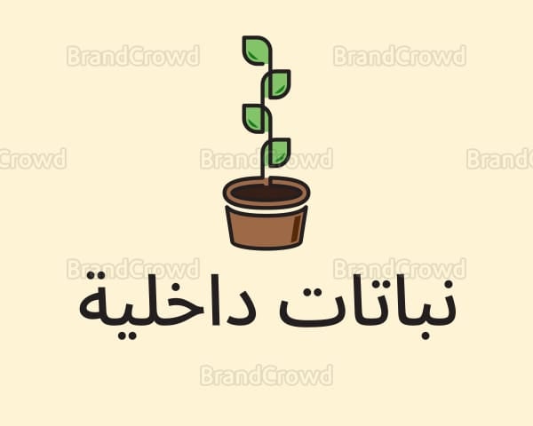 store avatar