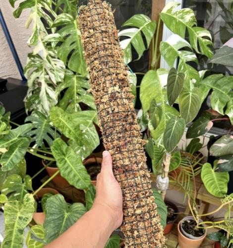 عمود تسلق 100 سم  - Moss Pole 100 cm