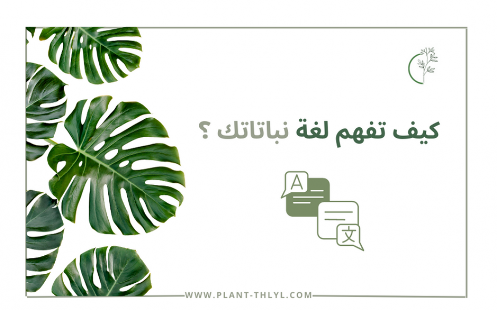 كيف تعرف لغة النباتات ؟