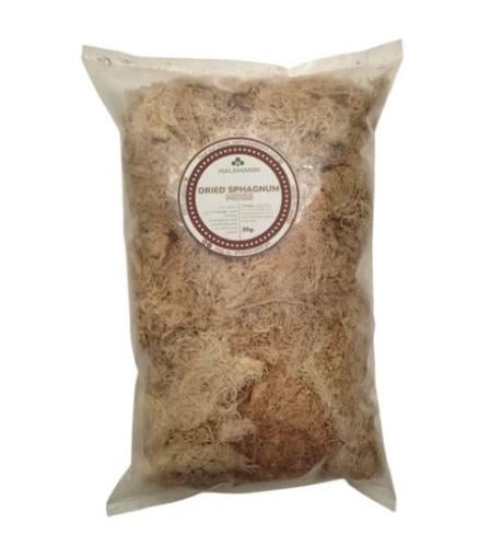 Dry Sphagnum Moss - سباقنوم موس