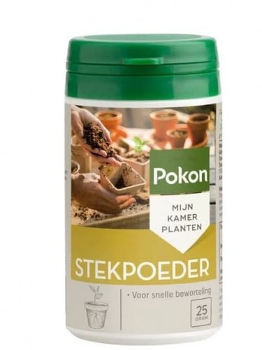 Pokon Cutting Powder 25gr - هرمون تجذير