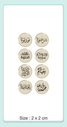 ترانسفير - الترحيب والاستقبال