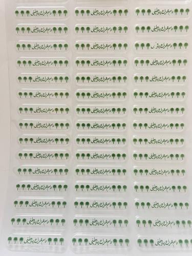 ترانسفير اليوم الوطني