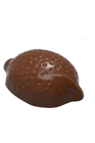 قالب شكولاته