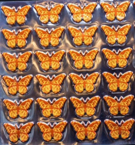 ترانسفير - أشكال